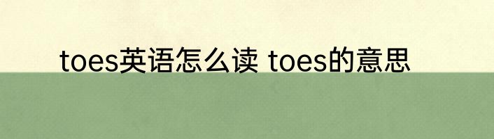 toes英语怎么读 toes的意思