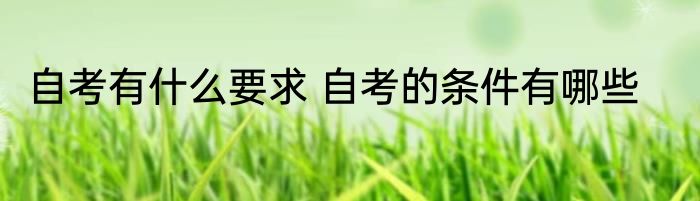 自考有什么要求 自考的条件有哪些