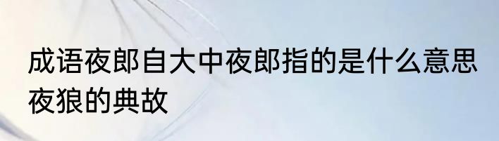 成语夜郎自大中夜郎指的是什么意思 夜狼的典故