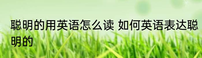 聪明的用英语怎么读 如何英语表达聪明的