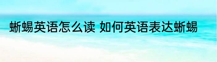 蜥蜴英语怎么读 如何英语表达蜥蜴