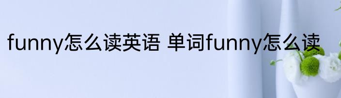 funny怎么读英语 单词funny怎么读