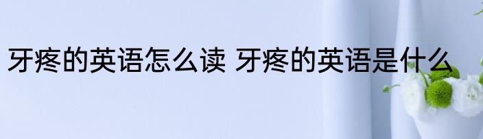 牙疼的英语怎么读 牙疼的英语是什么