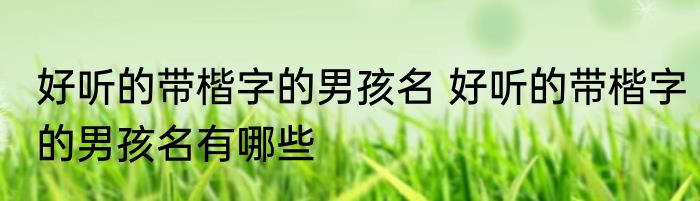 好听的带楷字的男孩名 好听的带楷字的男孩名有哪些
