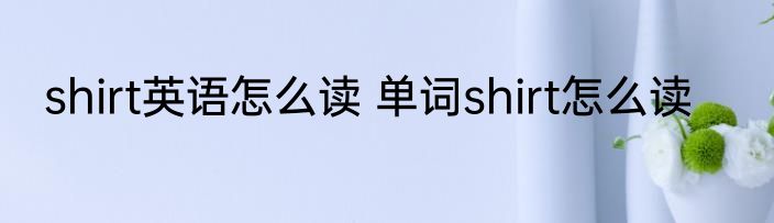 shirt英语怎么读 单词shirt怎么读