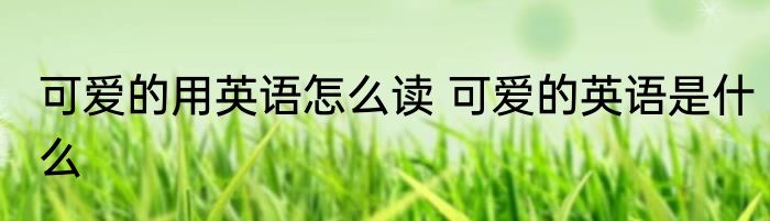 可爱的用英语怎么读 可爱的英语是什么