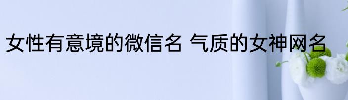 女性有意境的微信名 气质的女神网名