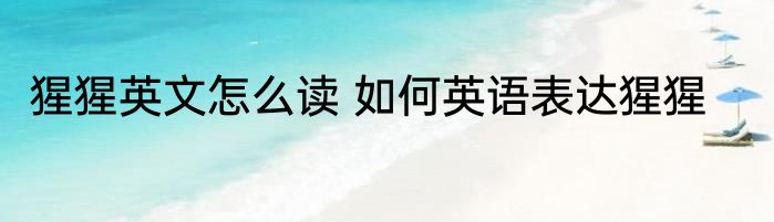 猩猩英文怎么读 如何英语表达猩猩