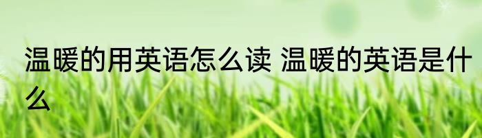 温暖的用英语怎么读 温暖的英语是什么