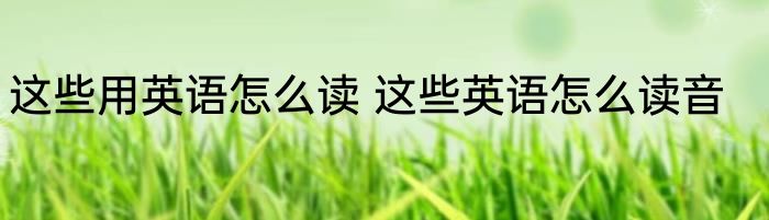 这些用英语怎么读 这些英语怎么读音