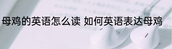母鸡的英语怎么读 如何英语表达母鸡