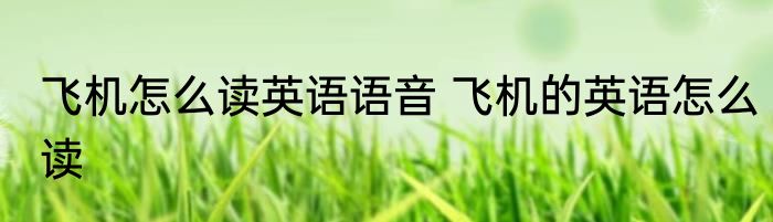 飞机怎么读英语语音 飞机的英语怎么读