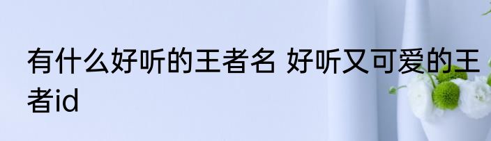 有什么好听的王者名 好听又可爱的王者id