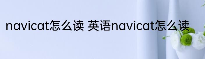 navicat怎么读 英语navicat怎么读