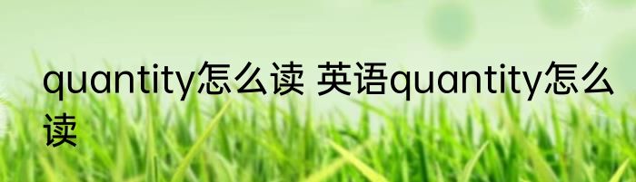 quantity怎么读 英语quantity怎么读