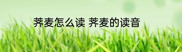 荠麦怎么读 荠麦的读音