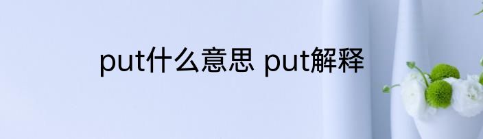 put什么意思 put解释