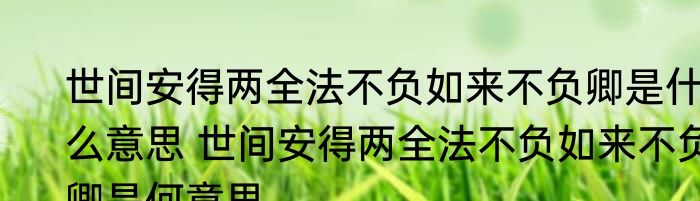 世间安得两全法不负如来不负卿是什么意思 世间安得两全法不负如来不负卿是何意思