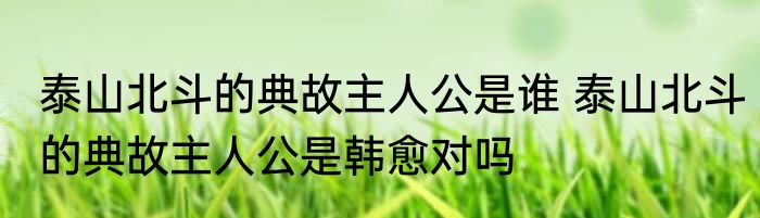 泰山北斗的典故主人公是谁 泰山北斗的典故主人公是韩愈对吗