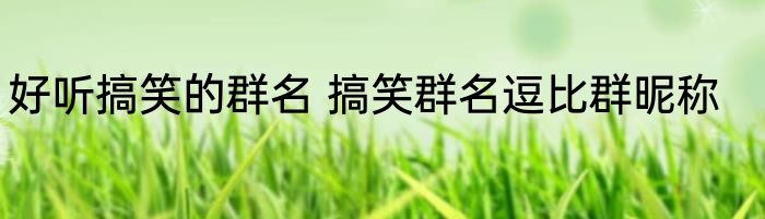 好听搞笑的群名 搞笑群名逗比群昵称