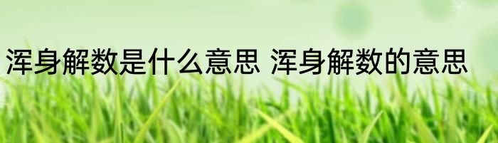 浑身解数是什么意思 浑身解数的意思