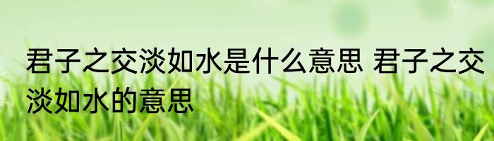 君子之交淡如水是什么意思 君子之交淡如水的意思