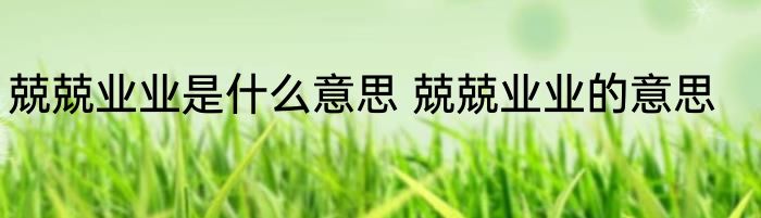 兢兢业业是什么意思 兢兢业业的意思