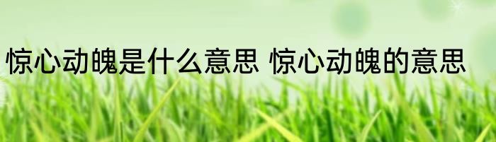惊心动魄是什么意思 惊心动魄的意思