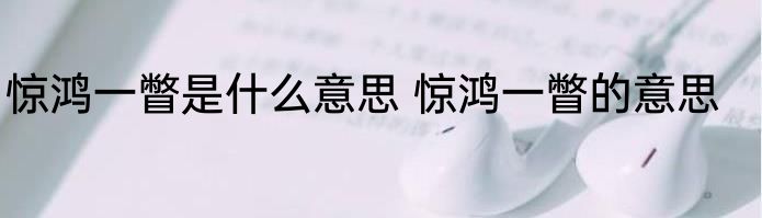 惊鸿一瞥是什么意思 惊鸿一瞥的意思