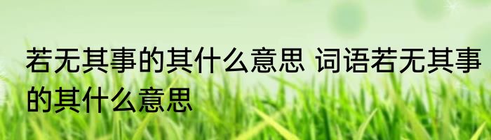 若无其事的其什么意思 词语若无其事的其什么意思