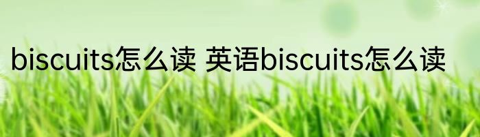 biscuits怎么读 英语biscuits怎么读