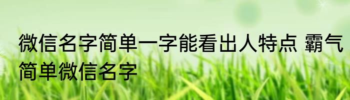微信名字简单一字能看出人特点 霸气简单微信名字