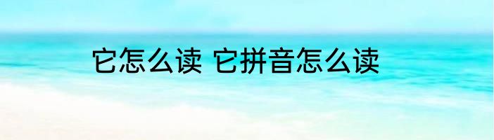 它怎么读 它拼音怎么读