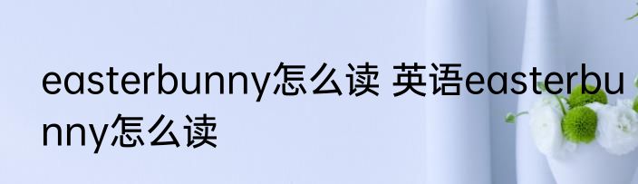 easterbunny怎么读 英语easterbunny怎么读
