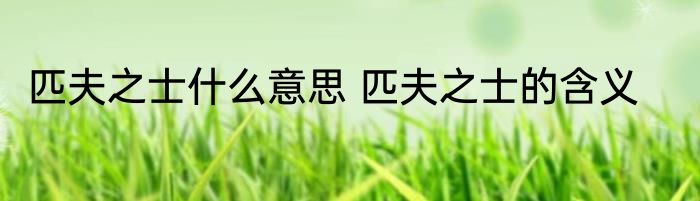 匹夫之士什么意思 匹夫之士的含义