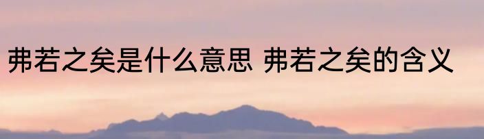 弗若之矣是什么意思 弗若之矣的含义