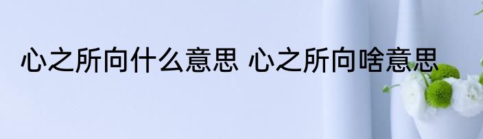 心之所向什么意思 心之所向啥意思