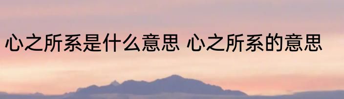 心之所系是什么意思 心之所系的意思