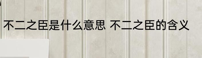 不二之臣是什么意思 不二之臣的含义