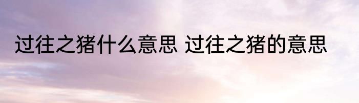 过往之猪什么意思 过往之猪的意思