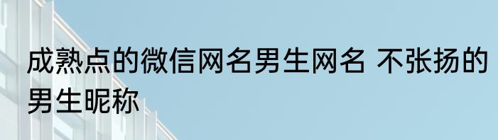 成熟点的微信网名男生网名 不张扬的男生昵称