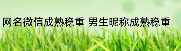 网名微信成熟稳重 男生昵称成熟稳重