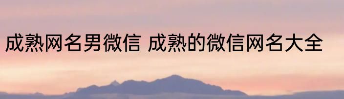 成熟网名男微信 成熟的微信网名大全