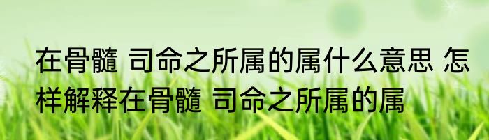 在骨髓 司命之所属的属什么意思 怎样解释在骨髓 司命之所属的属