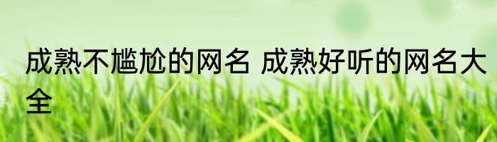 成熟不尴尬的网名 成熟好听的网名大全