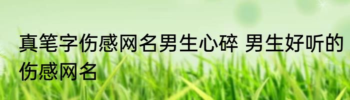 真笔字伤感网名男生心碎 男生好听的伤感网名