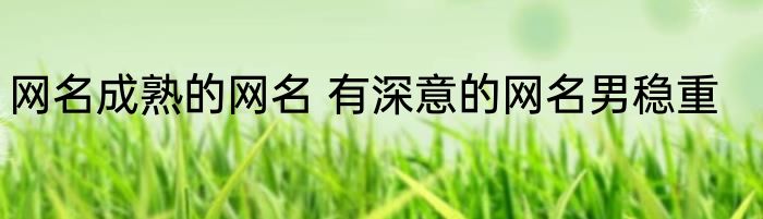 网名成熟的网名 有深意的网名男稳重