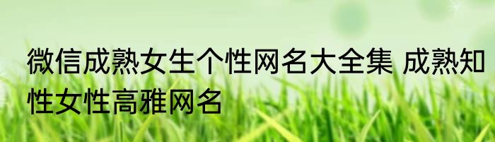 微信成熟女生个性网名大全集 成熟知性女性高雅网名