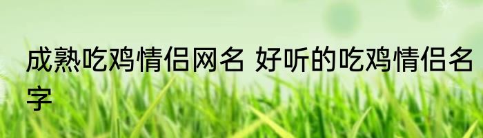 成熟吃鸡情侣网名 好听的吃鸡情侣名字