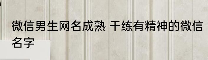 微信男生网名成熟 干练有精神的微信名字